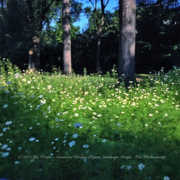 Wild Flower Garden