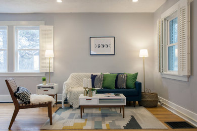 Inspiration for a modern living room remodel in Other