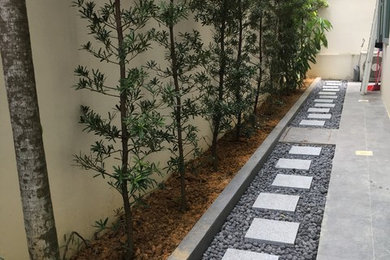 Inspiration for a modern garden in Singapore.