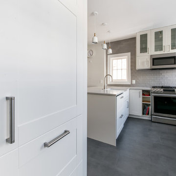 Kitchen and Basement reno in Georgetown