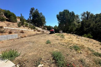 Photo of a landscaping in Los Angeles.