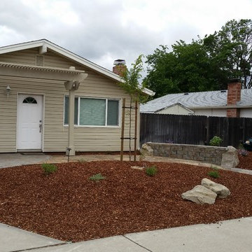 Drought Tolerant