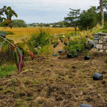Stunning Marsh Views from Two-Tier Patio, Scituate MA