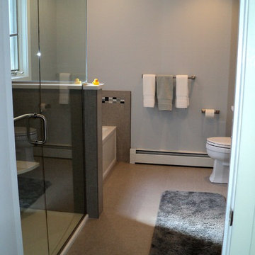 Hartford County Master Bathroom Renovation