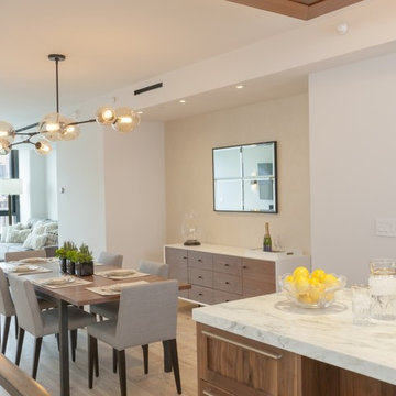 Brooklyn Bridge Park Condo