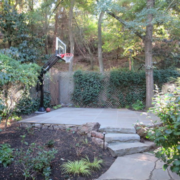Stephen G's Pro Dunk Silver Basketball System on a 19x22 in Oakland, CA