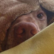 Cammie Ives's photo