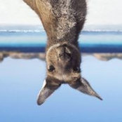 Lenka Pospisilova's photo