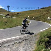 Matthieu Serrano's photo