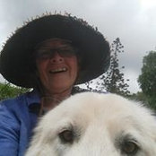 Jan Wyman's photo