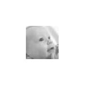 Vicki Rogers's photo
