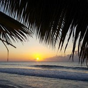 Kevin Corzine's photo