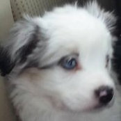 Stefani Jennings's photo