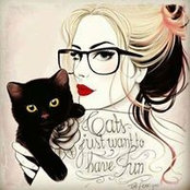 Gatil Luciana's photo