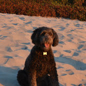 Kate Kavanaugh's photo