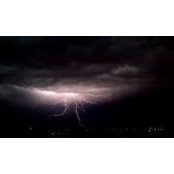 Tisha Benson's photo