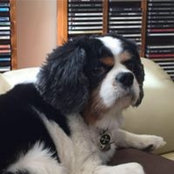 Debbie Freeman's photo