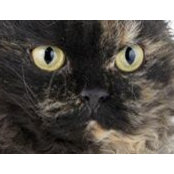 Christine Weber's photo