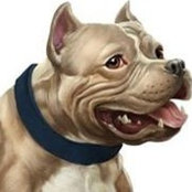 Foto de Bullymax Dogsupplement
