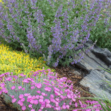 Colorado Landscaping