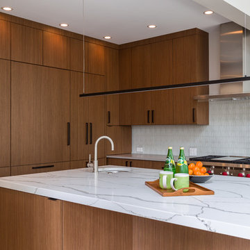 Chicago Lakewood Balmoral 1893 Farmhouse expands into contemporary living