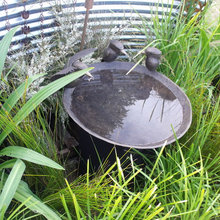 Bird Baths