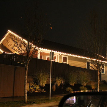 Professional Christmas Light Installation