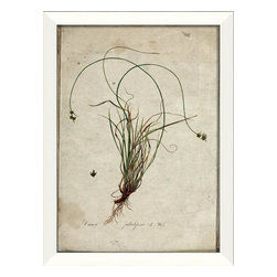 The Artwork Factory - Botanical I Framed Artwork - Prints And Posters