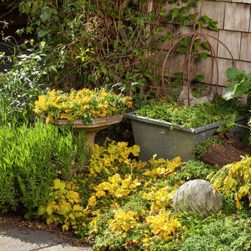Creative Uses for Etera® Sedum Tiles®