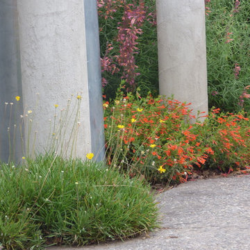 Waterwise Landscapes office garden
