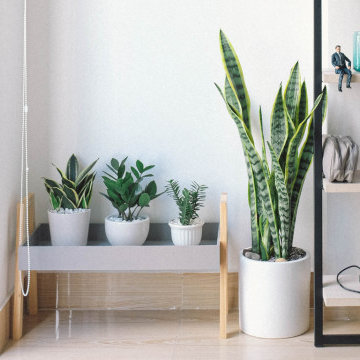 Bright Minimalist Entryway with Natural Accents in Hertford