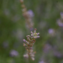 Photo Catalog - Abstract samples - Products