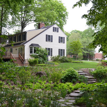 Woodland Garden