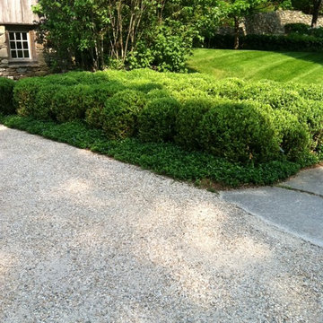 BACKYARD MAKEOVER