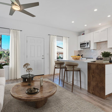 Kitchen / Living Room