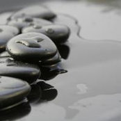 Dina Newcomb Thompson's photo