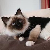 Sarah Yerna's photo