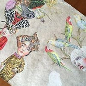 Foto de Lori Field
