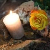 Danielle Sullivan's photo