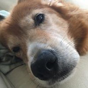 Andrew Rothkopf's photo