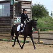 Amy Bergin's photo