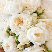 Melanie Fitzgerald's photo