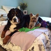 Traci Grumbling's photo