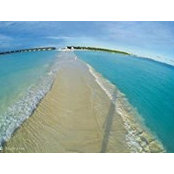Travis Hamiter's photo