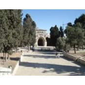 Foto de Rania Mohammad
