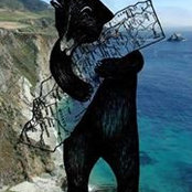 Caroline Teixeira's photo