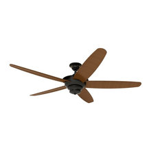Ceiling fans