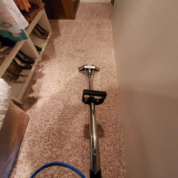 Carpet Cleaning Urine Removal Feces Removal Anmore BC Canada