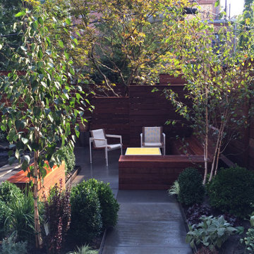 Cobble Hill Pool