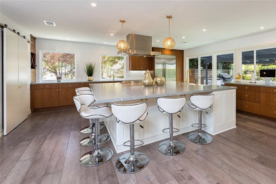 Kitchen - modern kitchen idea in San Francisco
